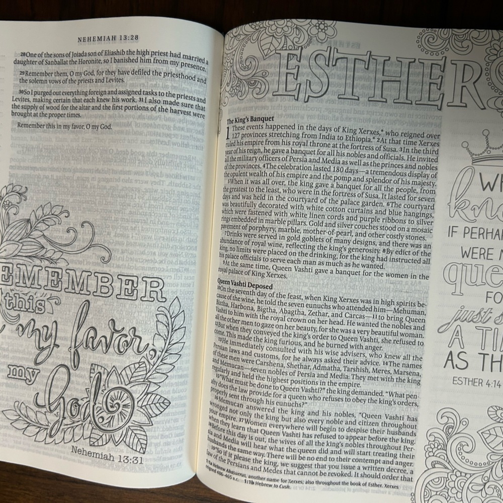 Blue Floral Inspire Bible